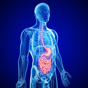 Dr Keefe, Keefe Clinic, Natural Health Care, Tulsa Chiropractor, Diet, Pain, 