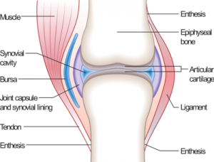 Dr Keefe, Keefe Clinic, Natural Health Care, Tulsa Chiropractor, Diet, Pain, 