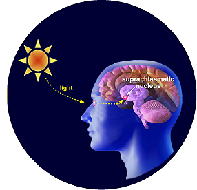 Dr Keefe, Keefe Clinic, Natural Health Care, Tulsa Chiropractor, Diet, Pain, 
