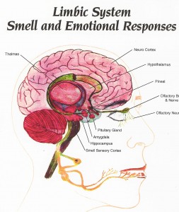 Dr Keefe, Keefe Clinic, Natural Health Care, Tulsa Chiropractor, Diet, Pain,