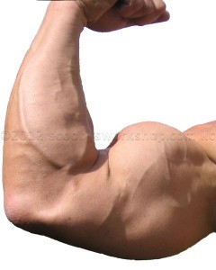 gain-muscle, Dr Keefe,  Natural Health care, pain, Tulsa chiropractor,