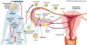 Dr Keefe,  Natural Health care, pain Tulsa chiropractor,