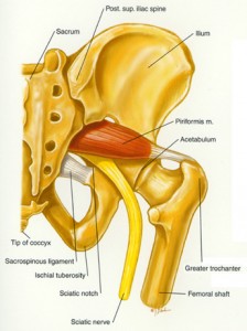 sciaticColorDr. Keefe, Keefe Clinic. Tulsa Chiropractor, pain, natural health care.