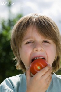 Boy Eating Tomato in Dr. Keefe, Keefe Clinic. Tulsa Chiropractor, pain, natural health care., Portrait