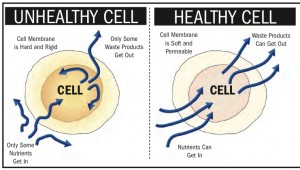 sick cellsDr. Keefe, Keefe Clinic. Tulsa Chiropractor, pain, natural health care.