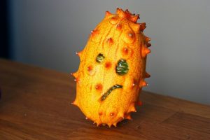 ugly-fruit-Dr. Keefe, Keefe Clinic. Tulsa Chiropractor, pain, natural health care.-752x501